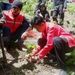 PDI Perjuangan Sulbar Tanam Pohon di Desa Lebani, Wujud Komitmen Menjaga Lingkungan