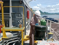 Sebanyak Rp17 Miliar Cangkang Sawit Sulbar di Ekspor ke Negeri Sakura