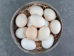 Telur Ayam Kampung, Murah dengan Segudang Manfaat untuk Tubuh