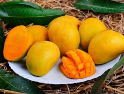 Mangga Buah Serbaguna yang Siap Memanjakan Lidah dengan Beragam Olahan Lezat!