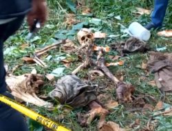 Penemuan Kerangka Manusia di Bekasi, Misteri yang Mengguncang Warga