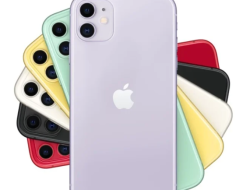 Harga iPhone Februari 2025: Lebih Terjangkau, Ini Daftar Pilihannya