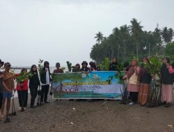 Cegah Abrasi Mahasiswa KKN Unika Bersama Warga Maliaya Tanam Bakau