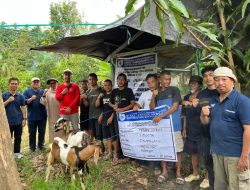 Pemprov Sulbar Berikan Pernyataan Permohonan Maaf: Terjadi Kesalahan Foto dalam Rilis Berita