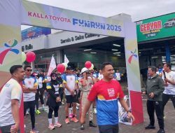 Ratusan Peserta Meriahkan Kalla Toyota Fun Run 2025 di Mamuju