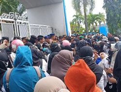 Aksi Guru dan Nakes di Kantor Bupati Mamuju Ricuh, Tiga Peserta Diamankan