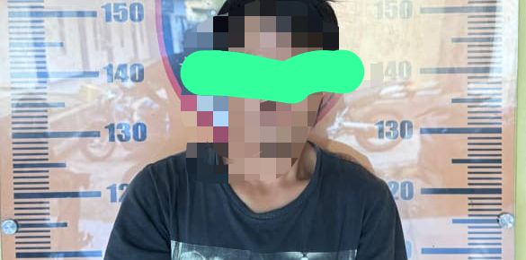 Polresta Mamuju Ringkus Pelaku Pencurian Buah Sawit