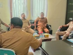 Dinas Perkebunan Sulbar Siapkan Penyaluran Bibit Kakao di Mamuju