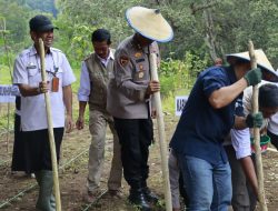 Target Produksi jagung di 2026, Saat ini Polda Sulsel Sudah Menanam Jagung di Lahan 812 Hektar