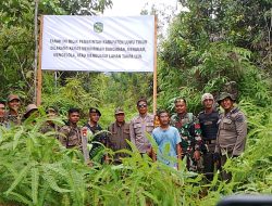 Pasang Plang di Kawasan PSN PT IHIP, Pemkab Luwu Timur Kuasai Kembali Lahannya