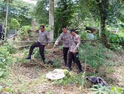 Polisi Selidiki Penemuan Mayat Bayi di Kalukku