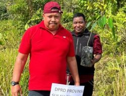 Anggota DPRD Sulbar Dapil Pasangkayu Lakukan Penanaman Pohon