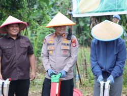 Dukung Swasembada Jagung Nasional, Kapolres Maros Dampingi Kapolda Sulsel Tanam Jagung di Tompobulu