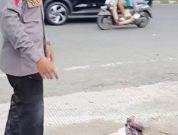 Kesigapan Personel Brimob Polda Sulsel Cegah Kebakaran Besar di Makassar