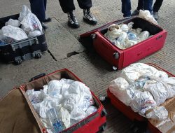 Karantina Sulsel Amankan Kepiting Kenari di Pelabuhan Soekarno-Hatta Makassar