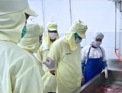 Perkuat Daya Saing, Karantina Pastikan Ekspor Tuna Beku Penuhi Standar Global