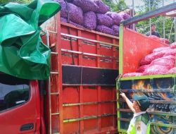 Karantina Sulawesi Selatan Perketat Pengawasan Lalu Lintas Komoditas Pertanian di Pelabuhan Soekarno-Hatta Makassar