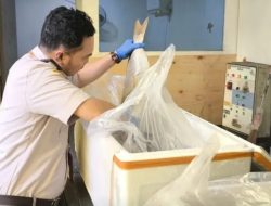 Ekspor Ikan dari Makassar Diawasi Ketat, Karantina Pastikan Bebas HPIK