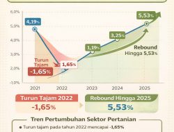 Optimisme Ekonomi: Sektor Pertanian Luwu Timur Bersiap Melaju di Tengah Tren Pemulihan Nasional