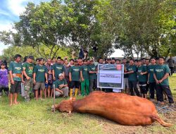 Sapi Bantuan Presiden Dipotong Bersama Kurban Keluarga Besar PPMI Shohwatul Is’ad