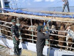 Karantina Sulsel Tegaskan Komitmen Pengawasan Hewan Ternak di Tengah Libur Hari Raya
