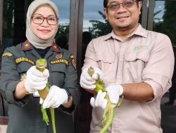Bersinergi Wujudkan Pelindungan Maksimal Sumber Daya Alam, Barantin Serahkan Puluhan Reptil Hasil Penindakan
