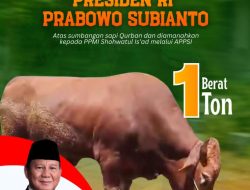 PPMI Shohwatul Is’ad Sampaikan Terima Kasih Kepada Presiden Prabowo Atas Sumbangan Sapi Qurban Seberat 1 Ton
