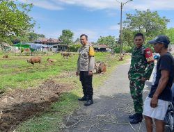 Jelang Idul Adha, Bhabinkamtibmas dan Babinsa Kontrol Aktivitas Penjualan Hewan Kurban di Gelora Mandiri