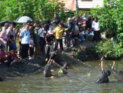 Panen Perdana 6 Ton Ikan Nila, Bupati Irwan Apresiasi Keberhasilan BUMDes Mabonta