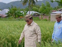 FAO: Produksi Beras Indonesia Naik, Saat Produksi Dunia Turun di Tahun 2026