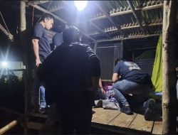 Jatanras Polres Maros Tangkap DPO Pelaku Curanmor Showroom Motor di Maros