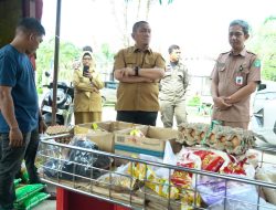 Tinjau GPM, Bupati Luwu Timur Instruksikan Diperluas Hingga ke Desa