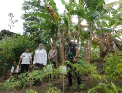 Kapolres Parepare Dukung Penurunan Stunting, Tanam Bibit Cabai Bersama Wagub Sulsel di Lumpue