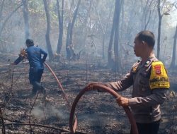 Kebakaran Lahan di Kecamatan Marusu, Polsek Lau Polres Maros Turun Bantu Penanganan