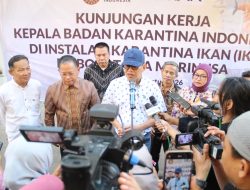 Di Balik Ekspor Udang Indonesia, Kepala Barantin Pastikan Layanan Karantina Berjalan Optimal