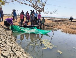 Aksa Mahmud Tebar 150 Ribu Benih Bandeng dan Rumput Laut Gracilaria di Empang PT Bosowa ISuMA