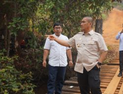 Demi Kelancaran Aktivitas Warga, Bupati Irwan Tinjau Jembatan Loppe dan Jalan Beton