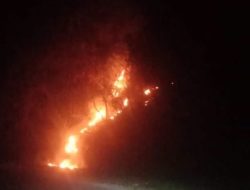 Dua Titik Api Terdeteksi di Sondoang, BPBD Siaga